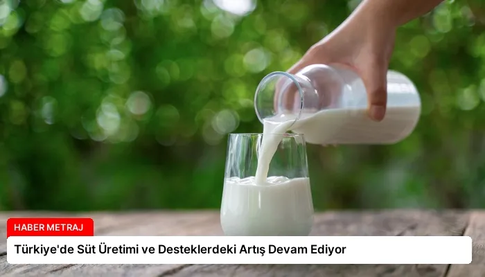 Türkiye’de Süt Üretimi ve Desteklerdeki Artış Devam Ediyor