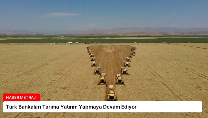 Türk Bankaları Tarıma Yatırım Yapmaya Devam Ediyor