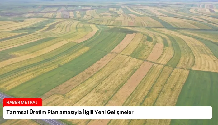 Tarımsal Üretim Planlamasıyla İlgili Yeni Gelişmeler