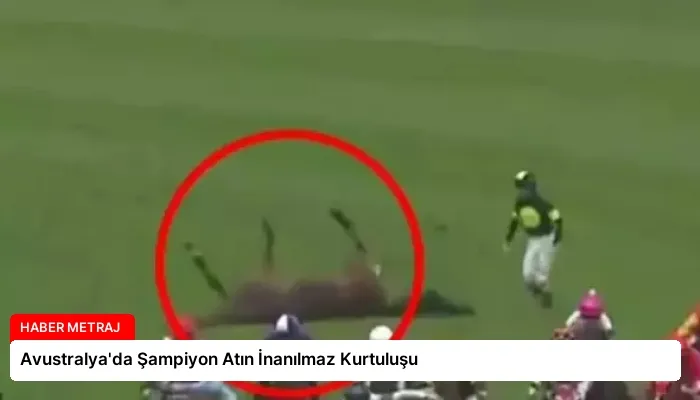 Avustralya’da Şampiyon Atın İnanılmaz Kurtuluşu