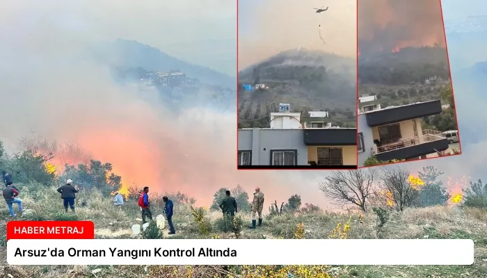 Arsuz’da Orman Yangını Kontrol Altında