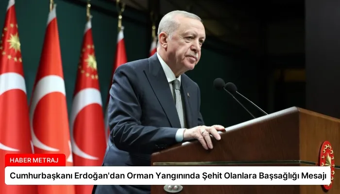 Cumhurbaşkanı Erdoğan’dan Orman Yangınında Şehit Olanlara Başsağlığı Mesajı