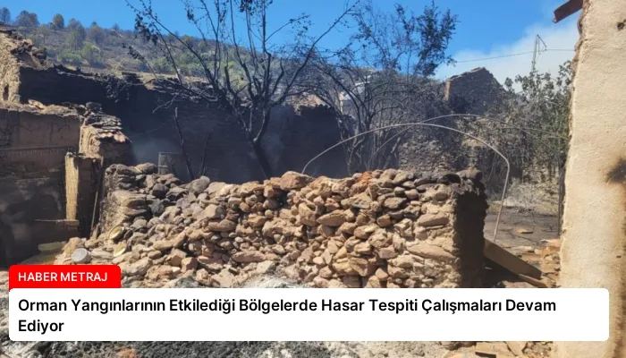 Orman Yangınlarının Etkilediği Bölgelerde Hasar Tespiti Çalışmaları Devam Ediyor