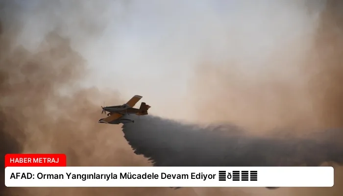 AFAD: Orman Yangınlarıyla Mücadele Devam Ediyor ⏬👇