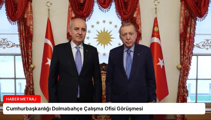 Cumhurbaşkanlığı Dolmabahçe Çalışma Ofisi Görüşmesi