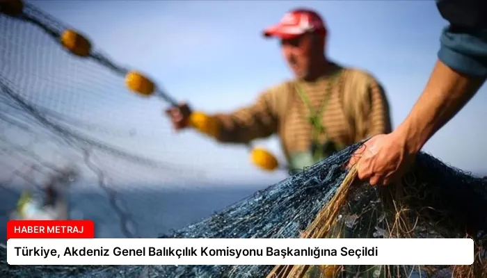 Türkiye, Akdeniz Genel Balıkçılık Komisyonu Başkanlığına Seçildi