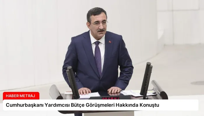 Cumhurbaşkanı Yardımcısı Bütçe Görüşmeleri Hakkında Konuştu