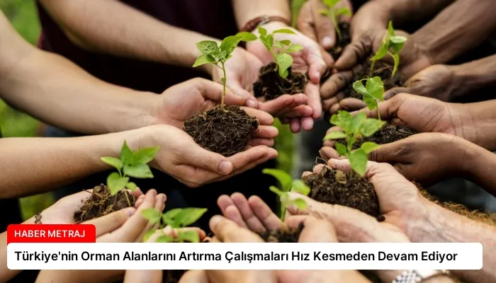 Türkiye’nin Orman Alanlarını Artırma Çalışmaları Hız Kesmeden Devam Ediyor