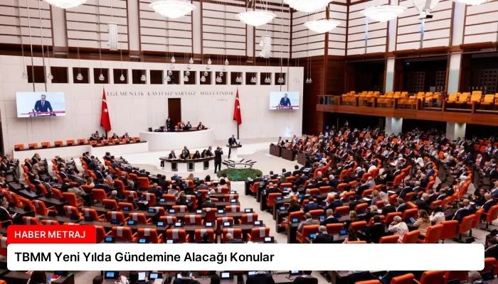 TBMM Yeni Yılda Gündemine Alacağı Konular