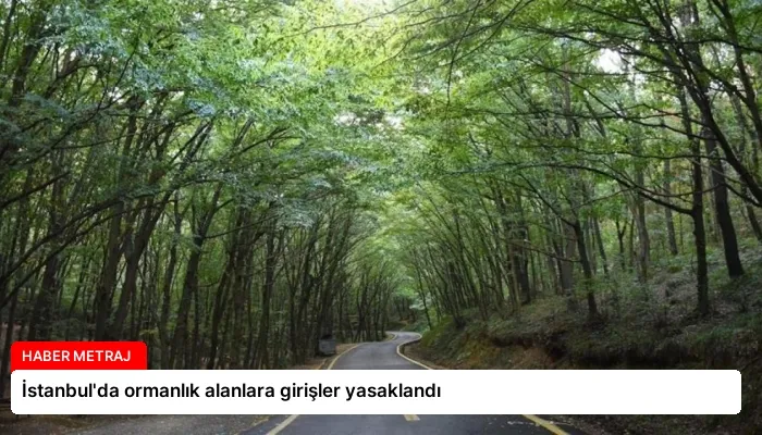 İstanbul’da ormanlık alanlara girişler yasaklandı