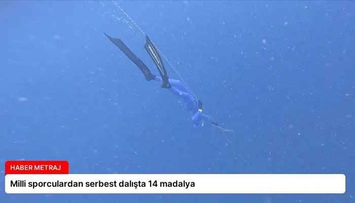 Milli sporculardan serbest dalışta 14 madalya