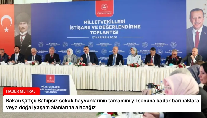 Bakan Çiftçi: Sahipsiz sokak hayvanlarının tamamını yıl sonuna kadar barınaklara veya doğal yaşam alanlarına alacağız