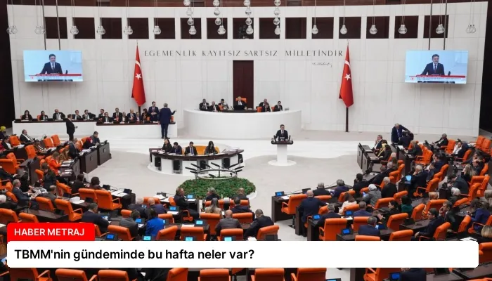 TBMM’nin gündeminde bu hafta neler var?