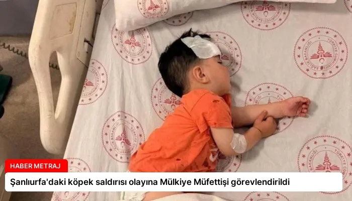 Şanlıurfa’daki köpek saldırısı olayına Mülkiye Müfettişi görevlendirildi