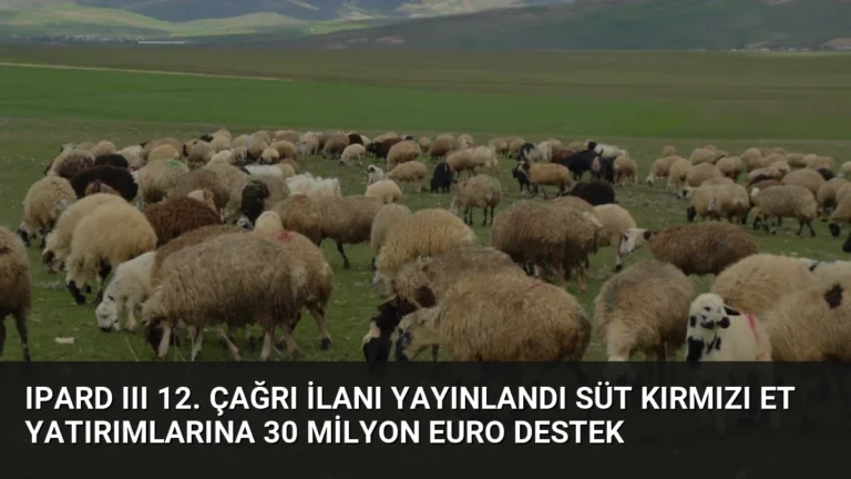 IPARD III 12. Çağrı İlanı Yayınlandı Süt Kırmızı Et Yatırımlarına 30 Milyon Euro Destek