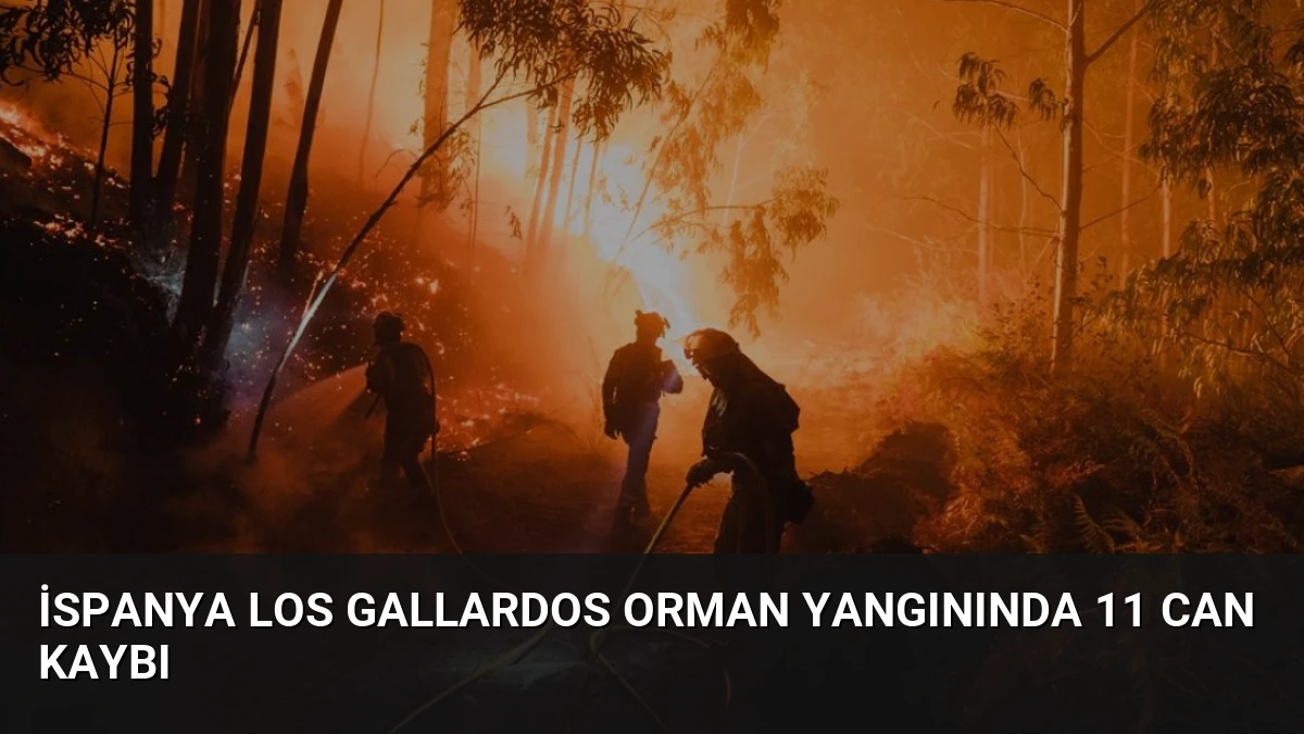 İspanya Los Gallardos Orman Yangınında 11 Can Kaybı