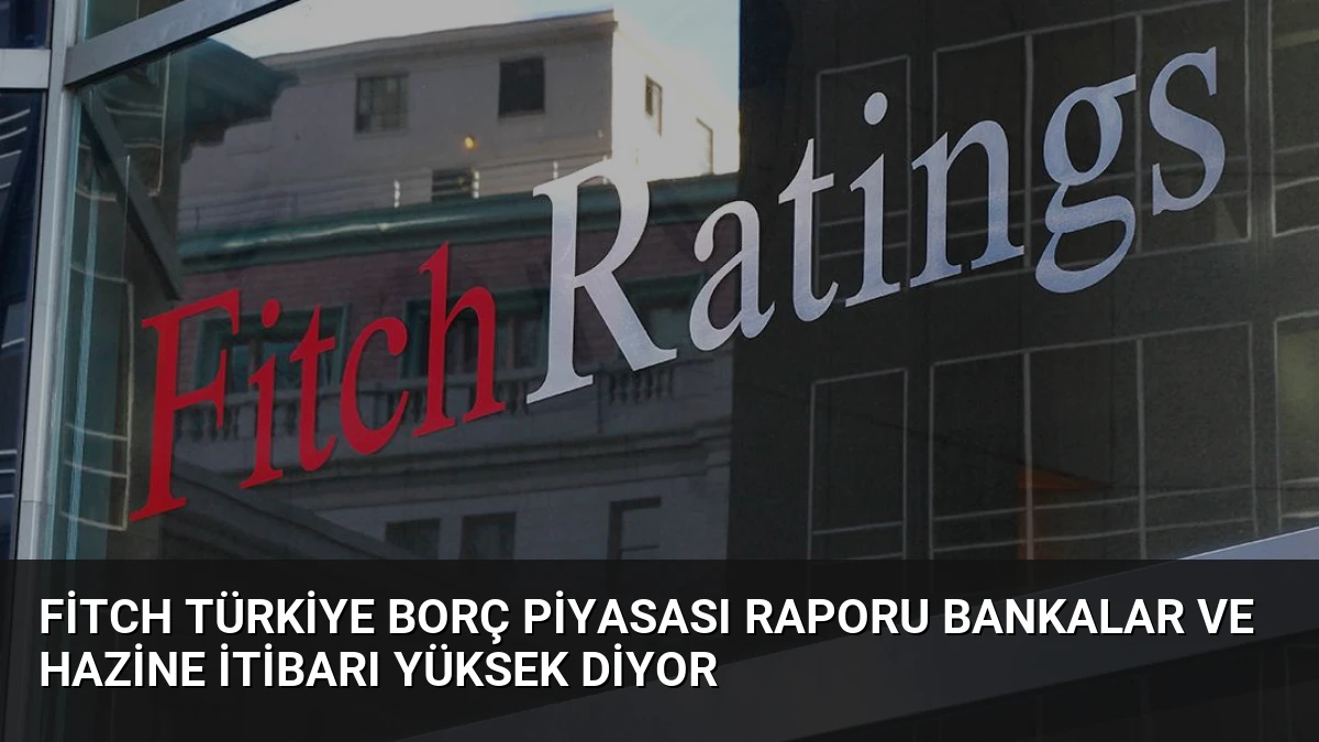 Fitch Türkiye Borç Piyasası Raporu Bankalar ve Hazine İtibarı Yüksek Diyor