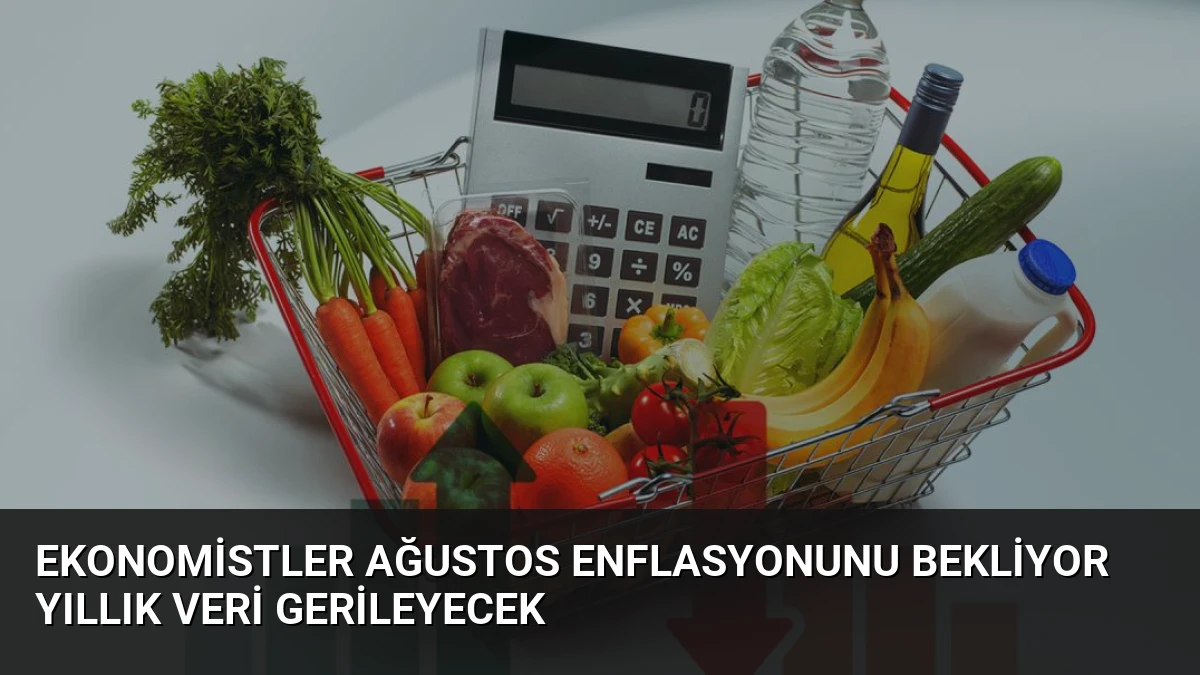 Ekonomistler Ağustos Enflasyonunu Bekliyor Yıllık Veri Gerileyecek