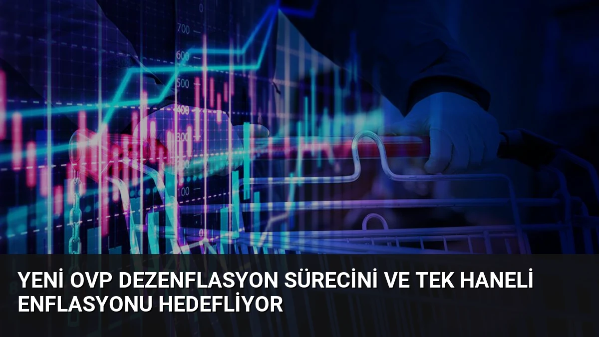 Yeni OVP Dezenflasyon Sürecini ve Tek Haneli Enflasyonu Hedefliyor