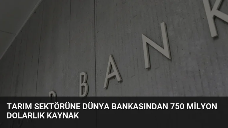 Tarım Sektörüne Dünya Bankasından 750 Milyon Dolarlık Kaynak