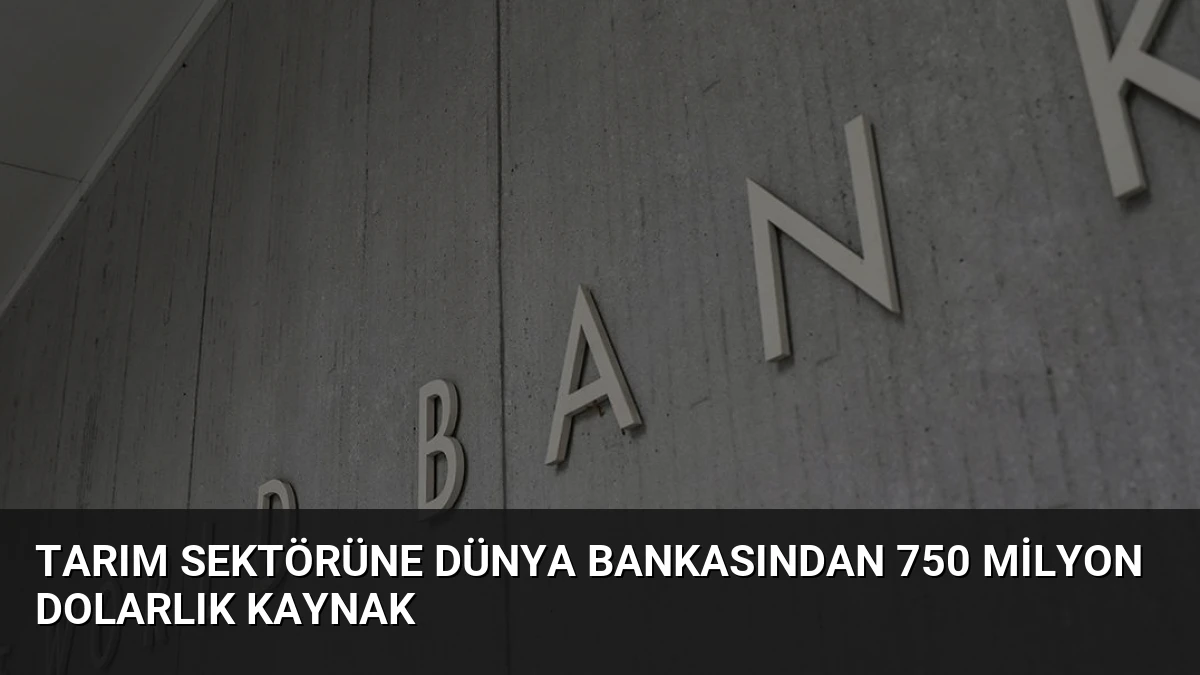 Tarım Sektörüne Dünya Bankasından 750 Milyon Dolarlık Kaynak