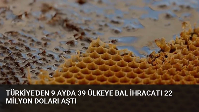 Türkiye’den 9 Ayda 39 Ülkeye Bal İhracatı 22 Milyon Doları Aştı