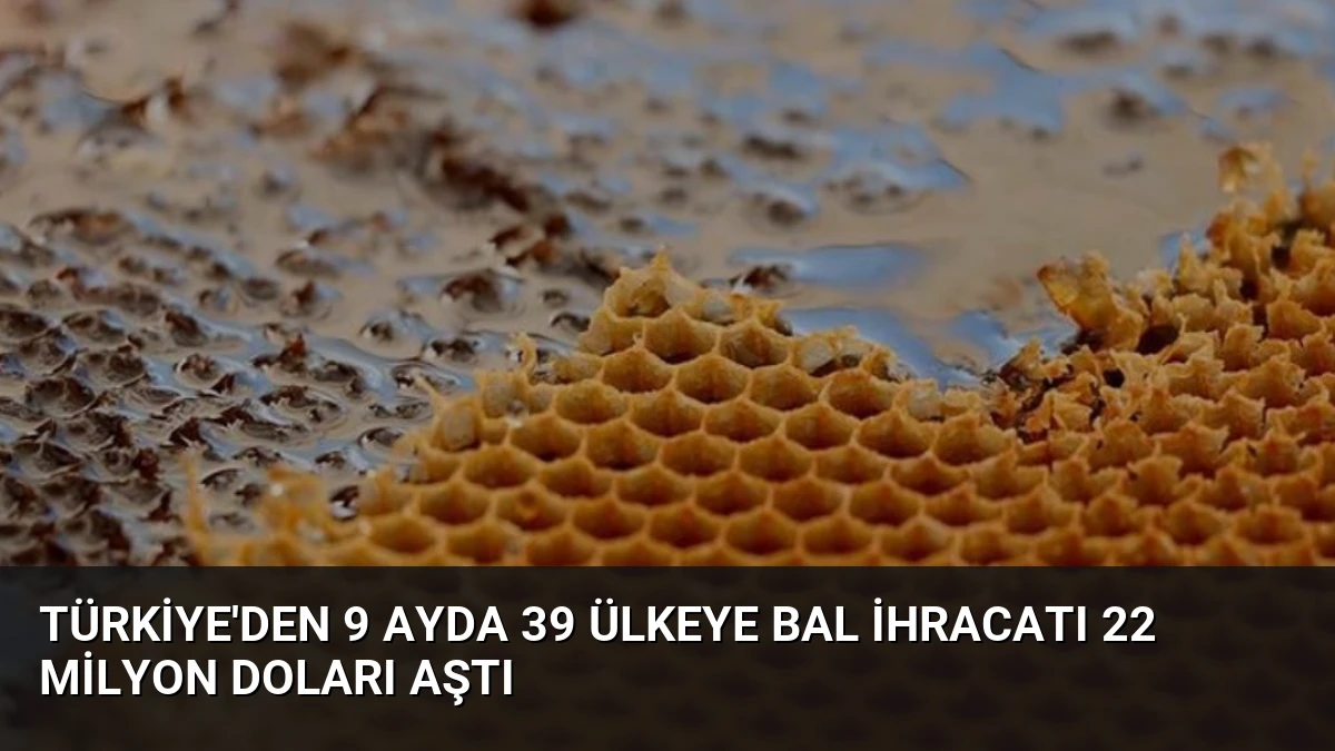 Türkiye’den 9 Ayda 39 Ülkeye Bal İhracatı 22 Milyon Doları Aştı